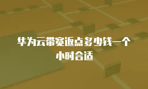 华为云带宽返点多少钱一个小时合适