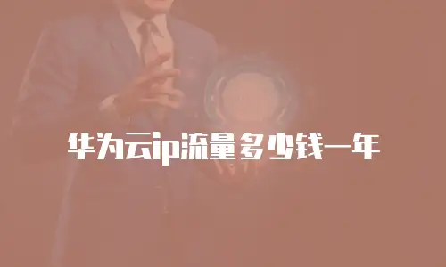 华为云ip流量多少钱一年