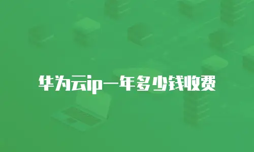 华为云ip一年多少钱收费
