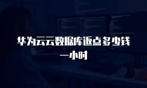华为云云数据库返点多少钱一小时