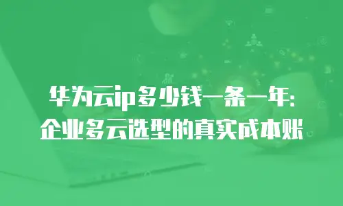 华为云ip多少钱一条一年：企业多云选型的真实成本账