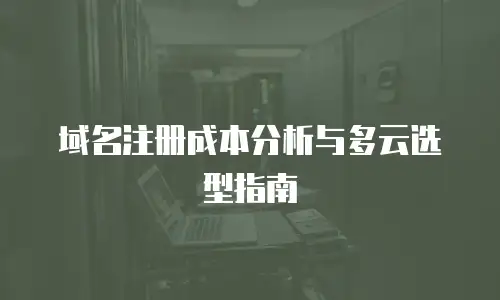 域名注册成本分析与多云选型指南