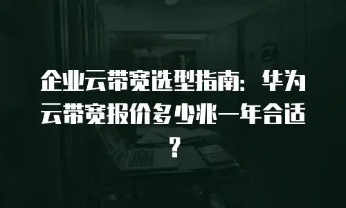 企业云带宽选型指南：华为云带宽报价多少兆一年合适？