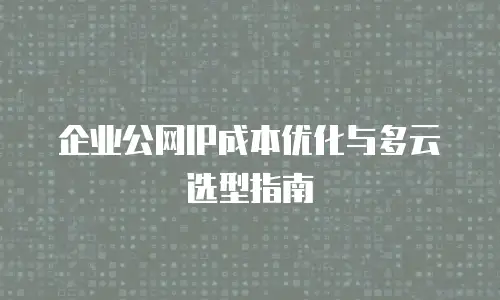 企业公网IP成本优化与多云选型指南