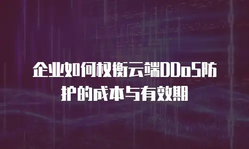 企业如何权衡云端DDoS防护的成本与有效期