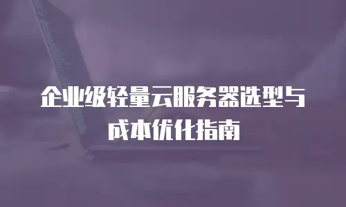 企业级轻量云服务器选型与成本优化指南