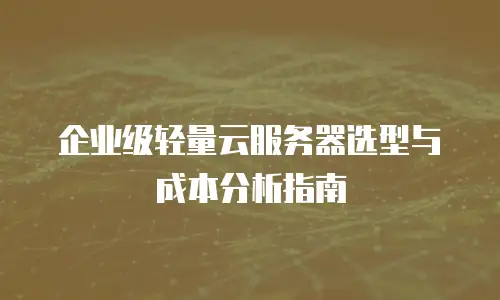 企业级轻量云服务器选型与成本分析指南