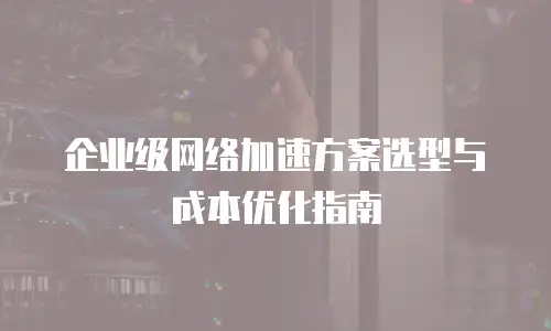 企业级网络加速方案选型与成本优化指南