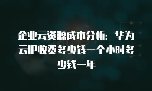 企业云资源成本分析：华为云IP收费多少钱一个小时多少钱一年