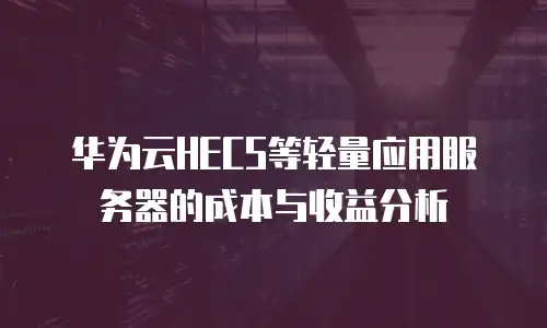 华为云HECS等轻量应用服务器的成本与收益分析