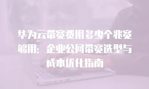 华为云带宽费用多少个兆宽够用：企业公网带宽选型与成本优化指南