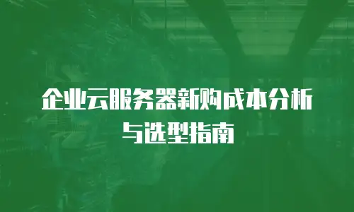 企业云服务器新购成本分析与选型指南