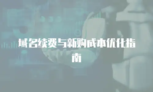 域名续费与新购成本优化指南