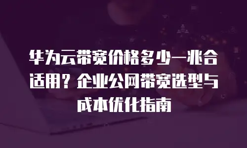 华为云带宽价格多少一兆合适用？企业公网带宽选型与成本优化指南