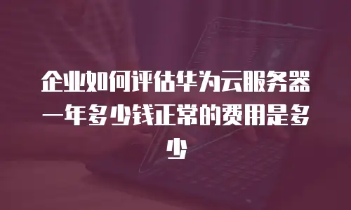 企业如何评估华为云服务器一年多少钱正常的费用是多少