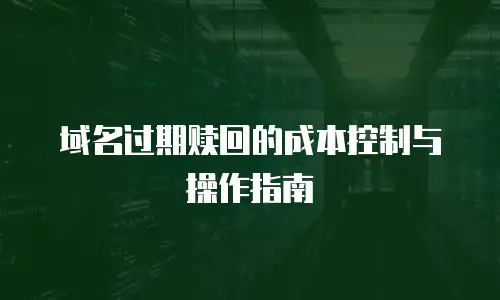 域名过期赎回的成本控制与操作指南