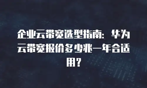 企业云带宽选型指南：华为云带宽报价多少兆一年合适用？