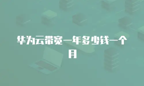 华为云带宽一年多少钱一个月