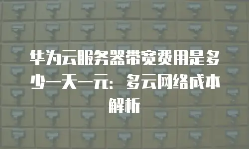 华为云服务器带宽费用是多少一天一元：多云网络成本解析