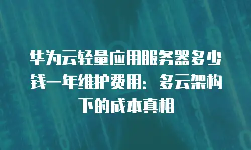 华为云轻量应用服务器多少钱一年维护费用：多云架构下的成本真相