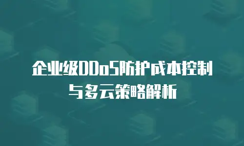 企业级DDoS防护成本控制与多云策略解析
