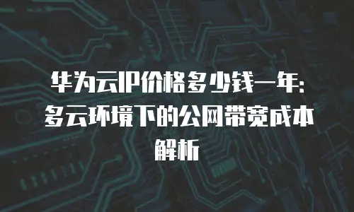 华为云IP价格多少钱一年：多云环境下的公网带宽成本解析