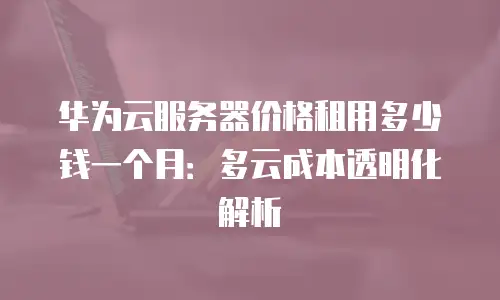 华为云服务器价格租用多少钱一个月：多云成本透明化解析