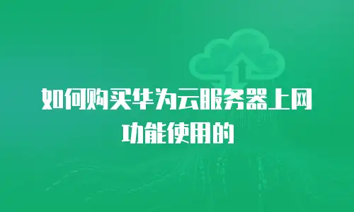 如何购买华为云服务器上网功能使用的