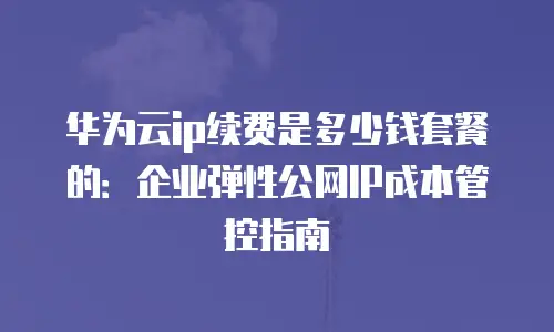 华为云ip续费是多少钱套餐的：企业弹性公网IP成本管控指南