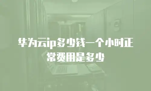 华为云ip多少钱一个小时正常费用是多少