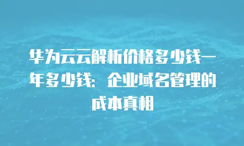 华为云云解析价格多少钱一年多少钱：企业域名管理的成本真相