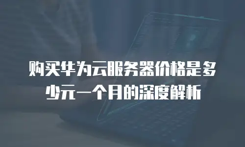 购买华为云服务器价格是多少元一个月的深度解析