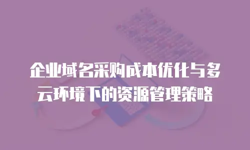 企业域名采购成本优化与多云环境下的资源管理策略