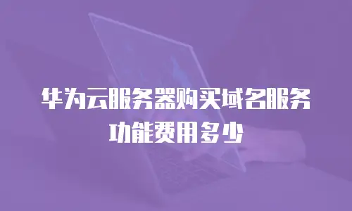 华为云服务器购买域名服务功能费用多少
