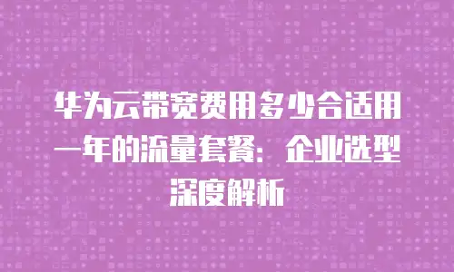 华为云带宽费用多少合适用一年的流量套餐：企业选型深度解析