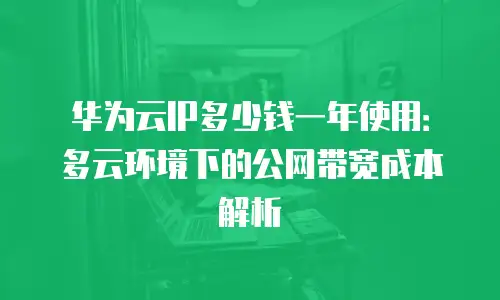华为云IP多少钱一年使用：多云环境下的公网带宽成本解析