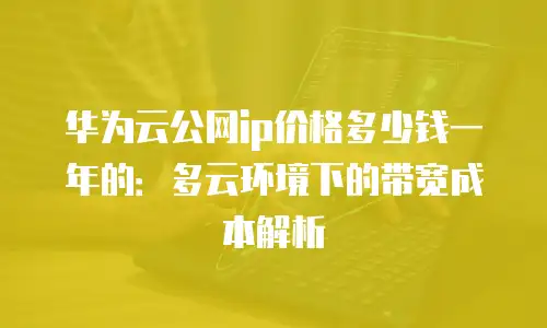 华为云公网ip价格多少钱一年的：多云环境下的带宽成本解析