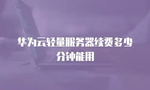 华为云轻量服务器续费多少分钟能用