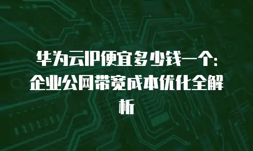 华为云IP便宜多少钱一个：企业公网带宽成本优化全解析