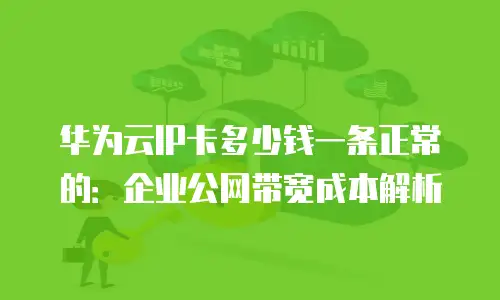 华为云IP卡多少钱一条正常的：企业公网带宽成本解析