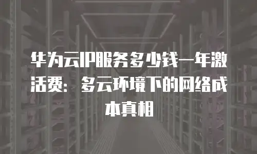 华为云IP服务多少钱一年激活费：多云环境下的网络成本真相