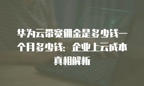 华为云带宽佣金是多少钱一个月多少钱：企业上云成本真相解析