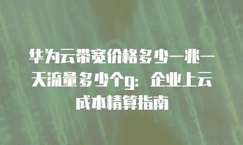华为云带宽价格多少一兆一天流量多少个g：企业上云成本精算指南