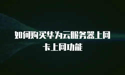 如何购买华为云服务器上网卡上网功能