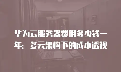 华为云服务器费用多少钱一年：多云架构下的成本透视