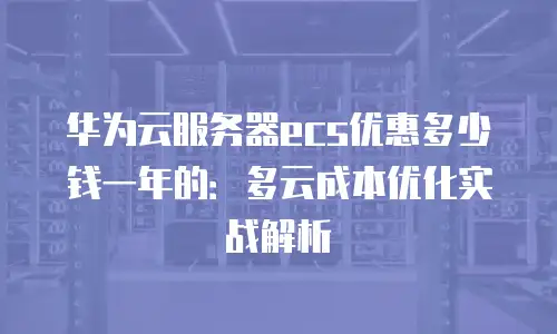 华为云服务器ecs优惠多少钱一年的：多云成本优化实战解析