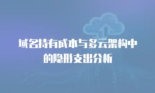 域名持有成本与多云架构中的隐形支出分析