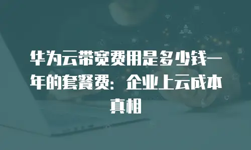 华为云带宽费用是多少钱一年的套餐费：企业上云成本真相