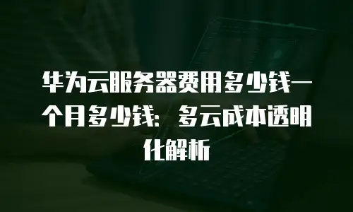 华为云服务器费用多少钱一个月多少钱：多云成本透明化解析