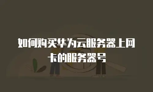 如何购买华为云服务器上网卡的服务器号